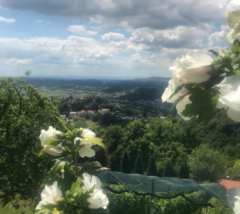 Photo of Others in Radoboj