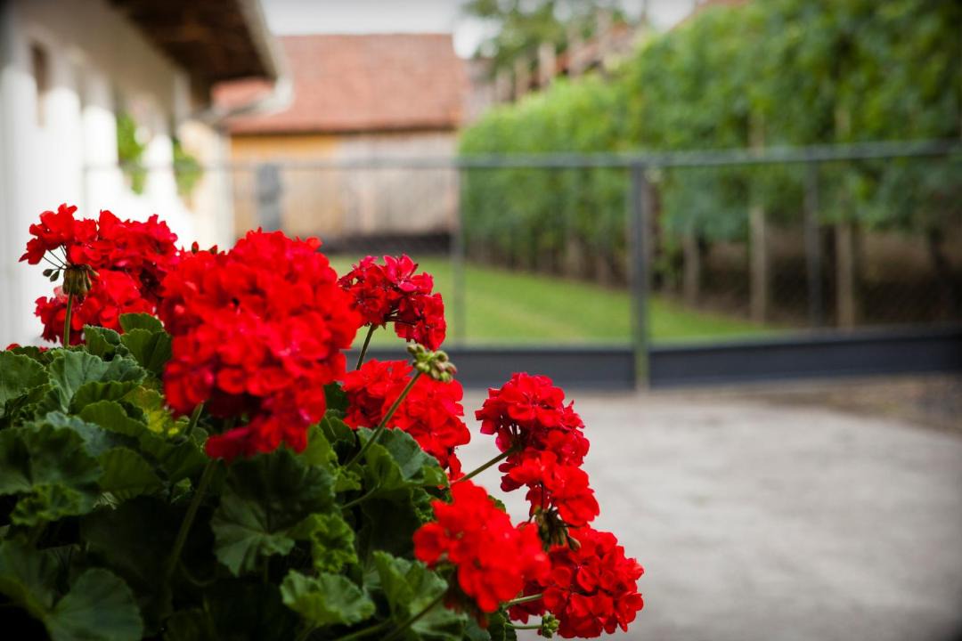 Photo of Others in Mala Subotica