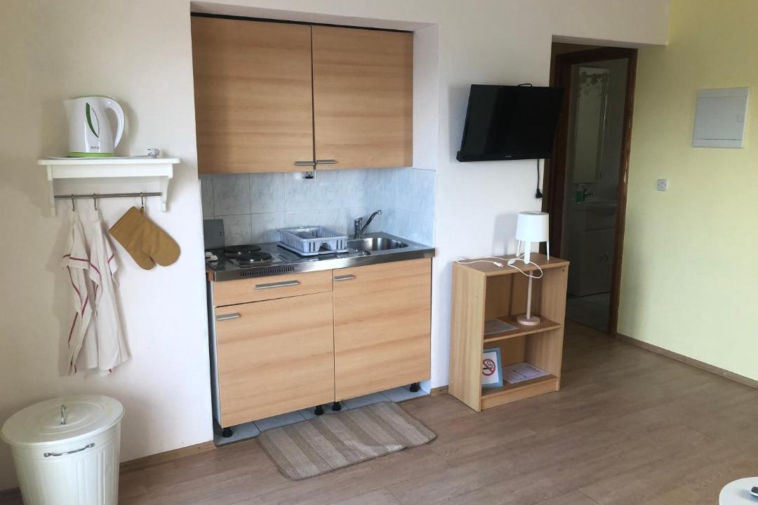 Photo of Kitchen in Miskovici