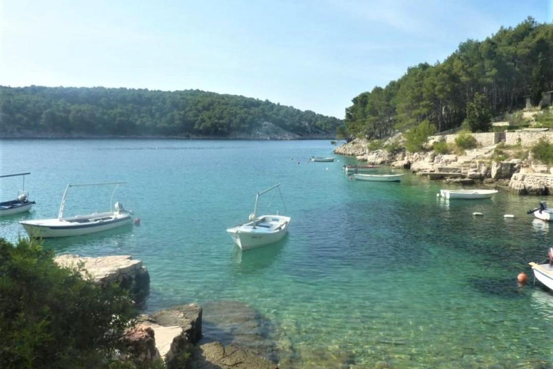 Photo of Others in Cove Osibova (Milna)