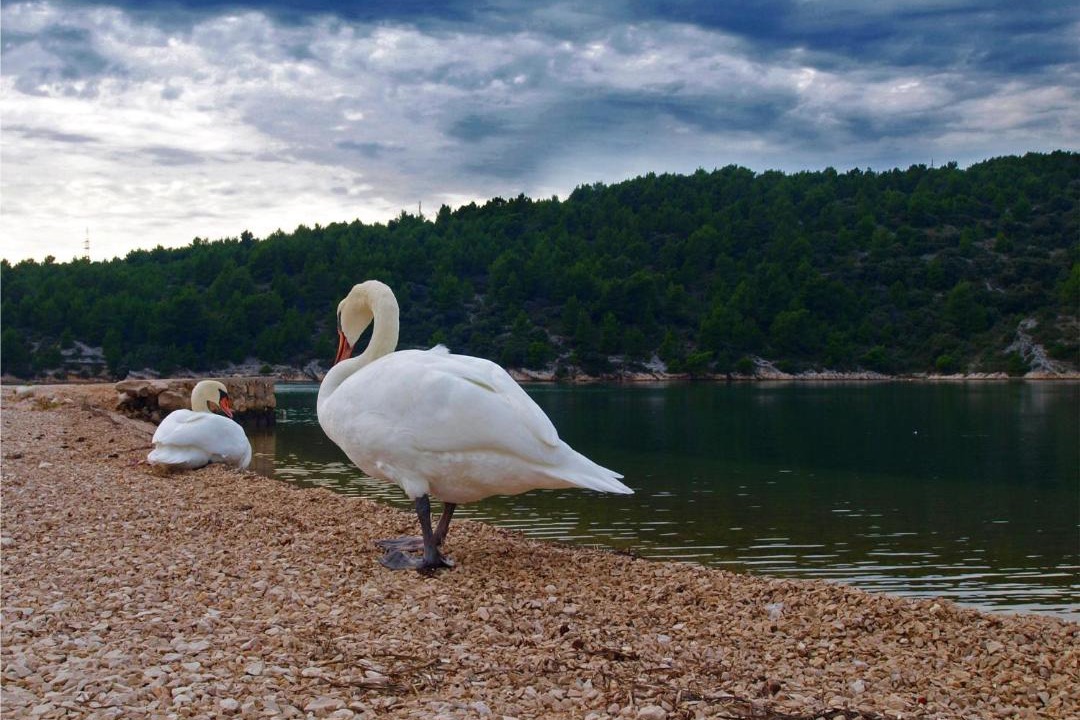 Photo of Others in Jadrtovac