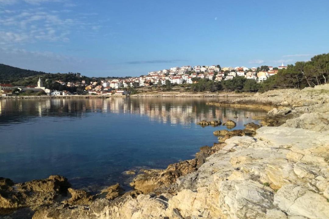 Photo of Others in Cove Murtar