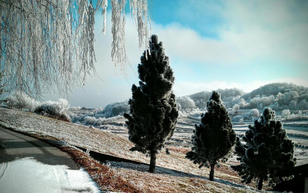 Photo of Others in Samobor