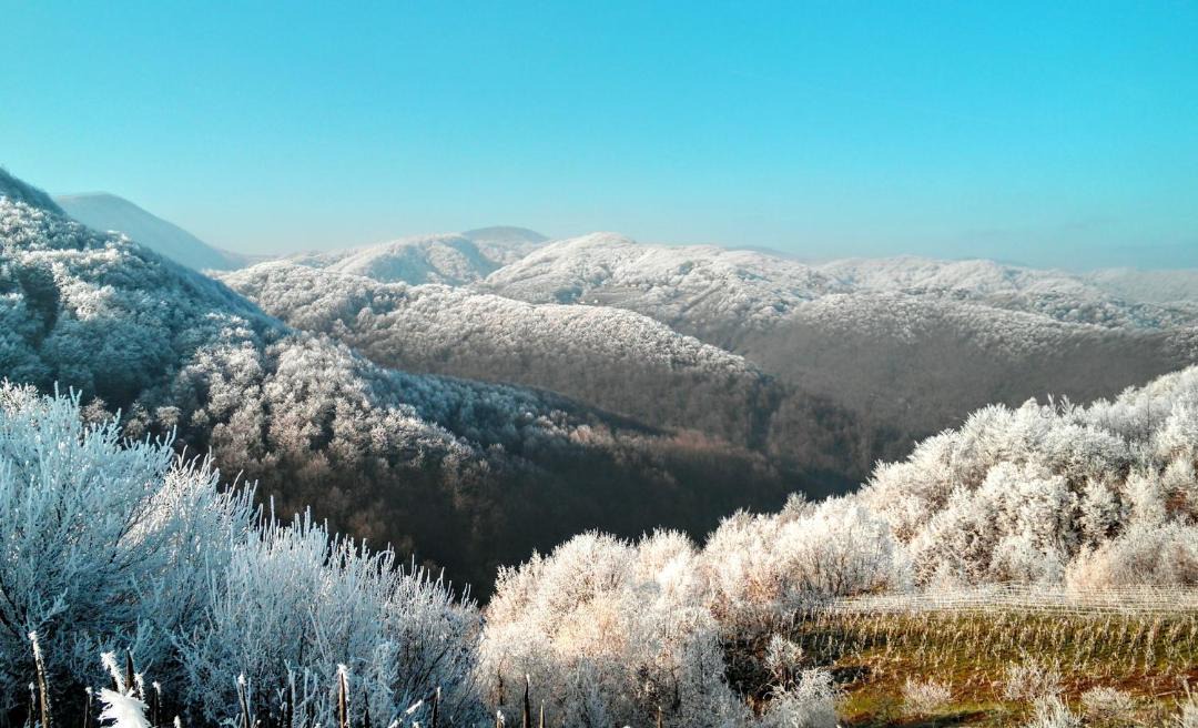 Photo of Others in Samobor