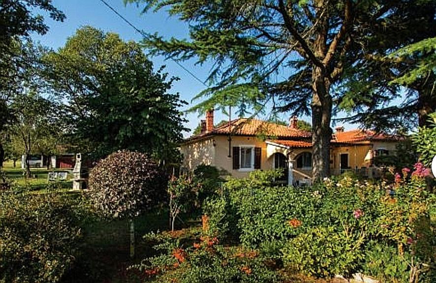 Photo of Buildings in Marceljani