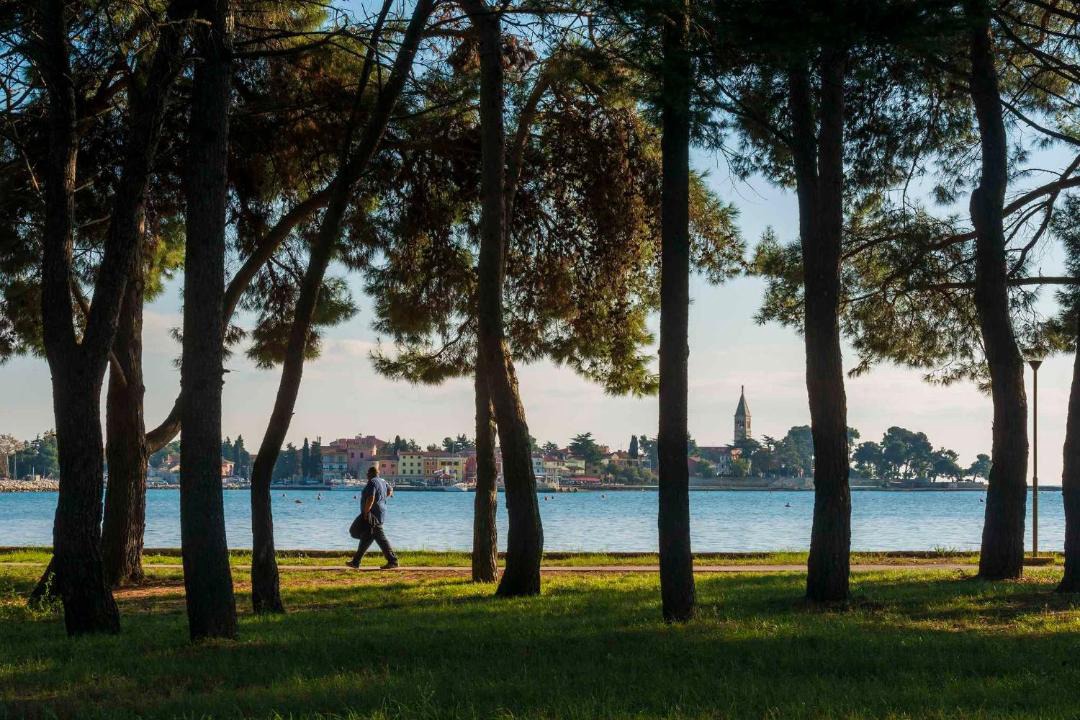 Photo of Others in Novigrad