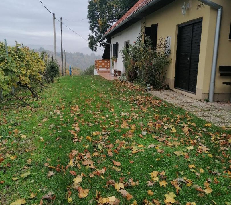 Photo of Others in Donja Voca