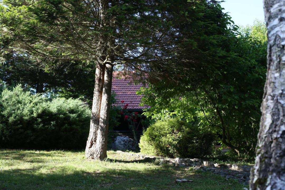 Photo of Others in Netretic
