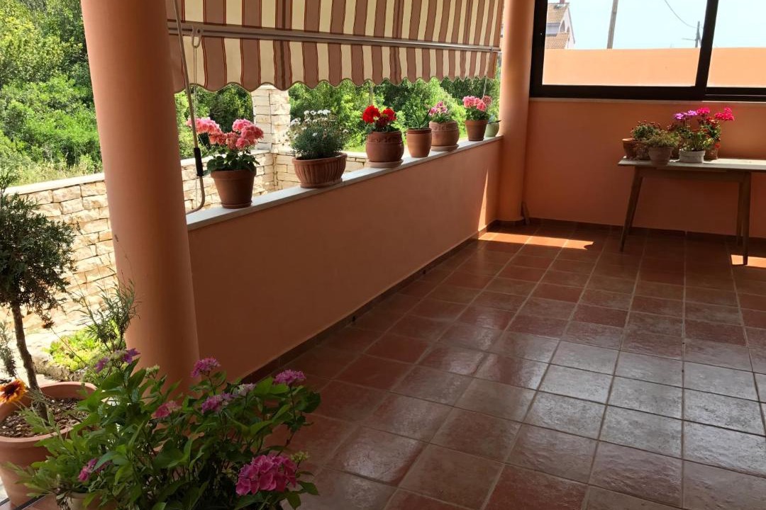 Photo of Others in Kali