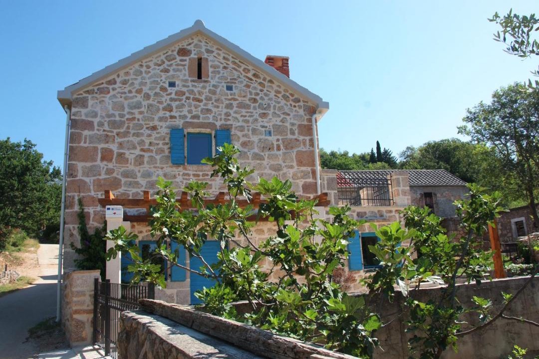 Photo of Others in Seline
