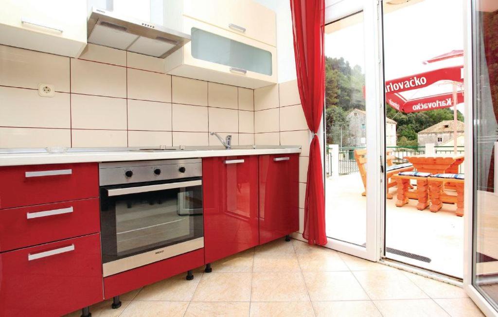 Photo of Kitchen in Trstenik