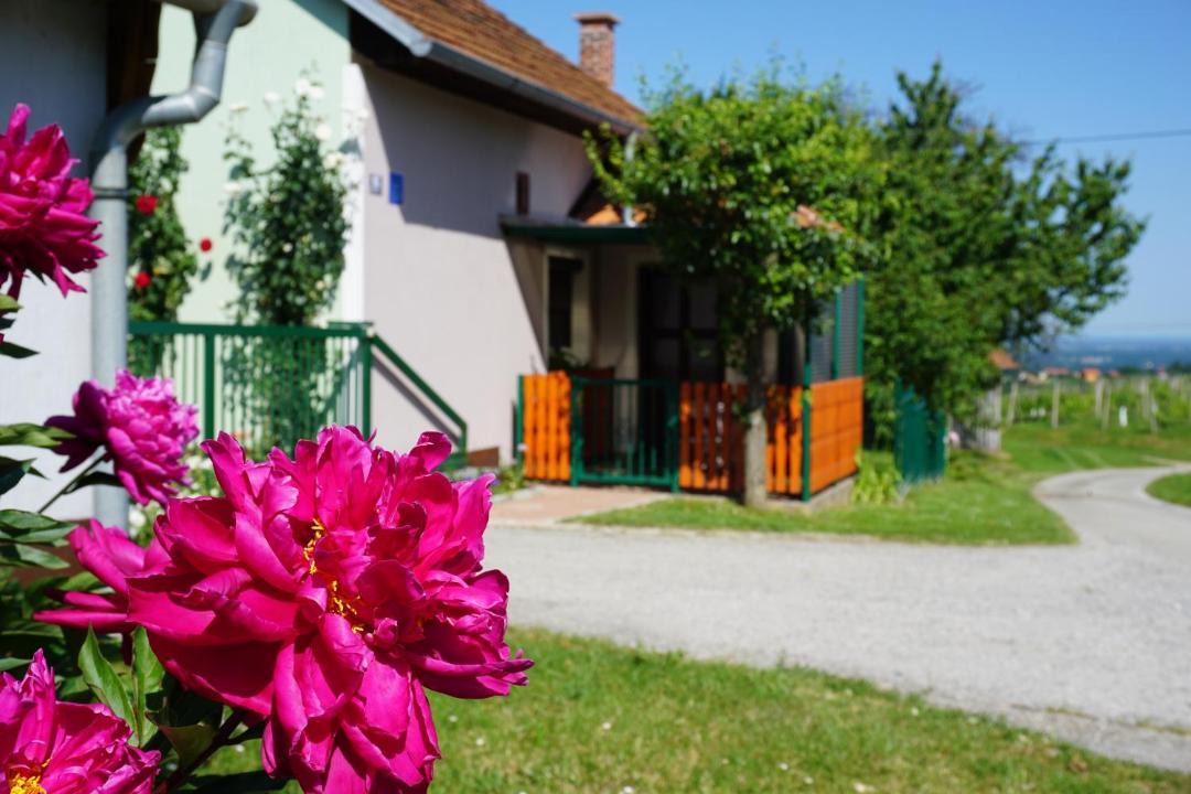 Photo of Others in Strigova