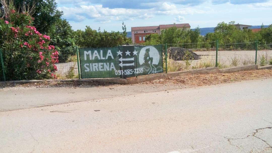 Photo of Others in Maslenica