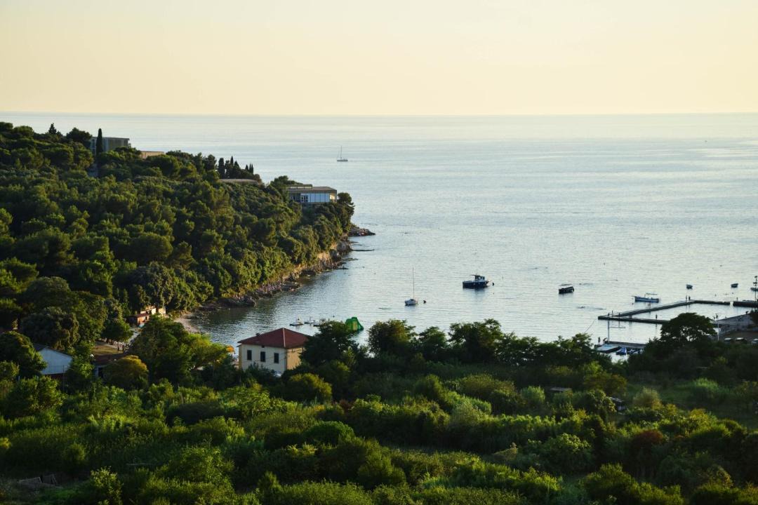 Photo of Others in Pula