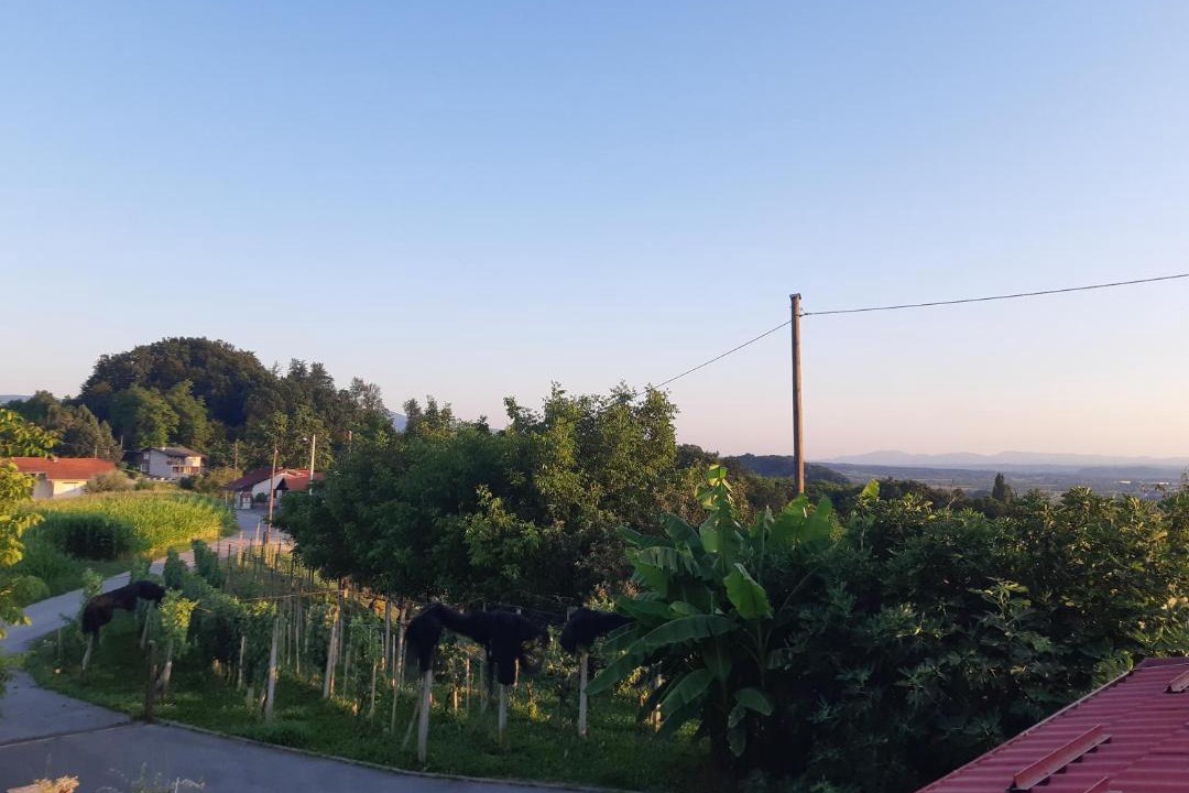 Photo of Others in Kraljevec Sesvetski