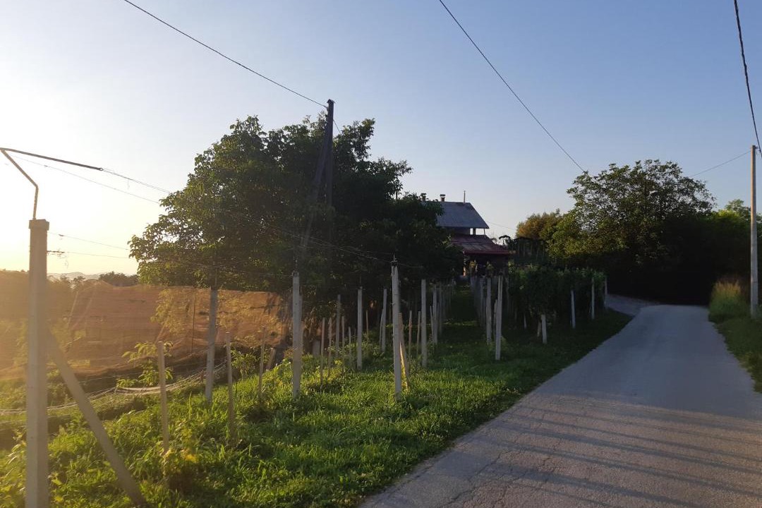 Photo of Others in Kraljevec Sesvetski