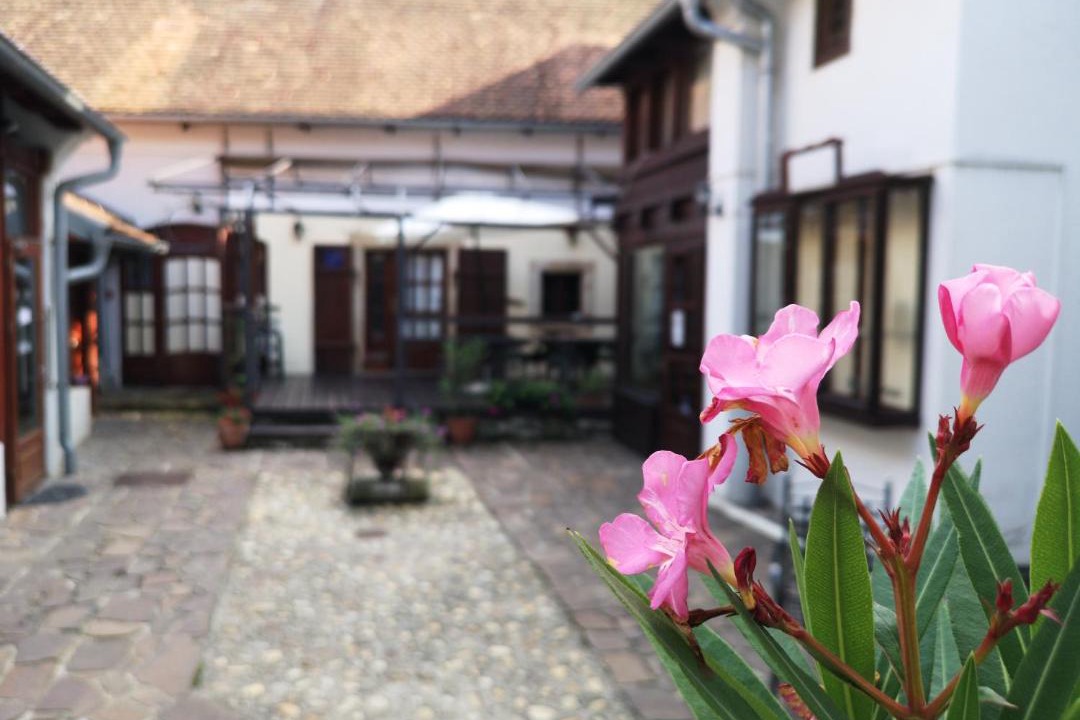 Photo of Others in Varazdin