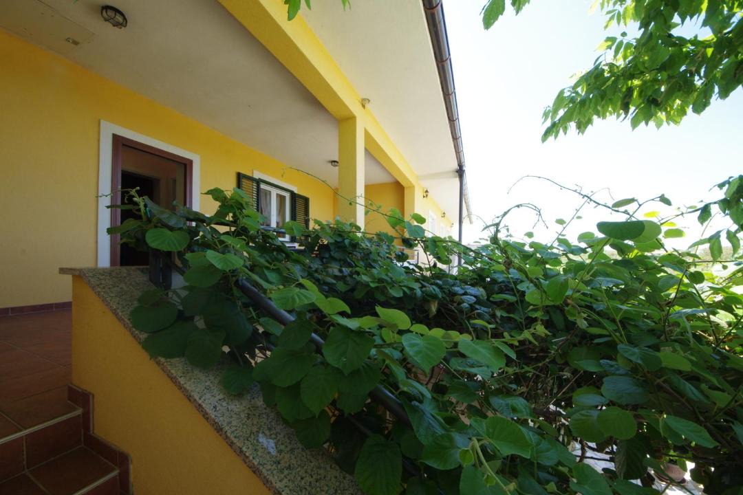 Photo of Others in Podgradina