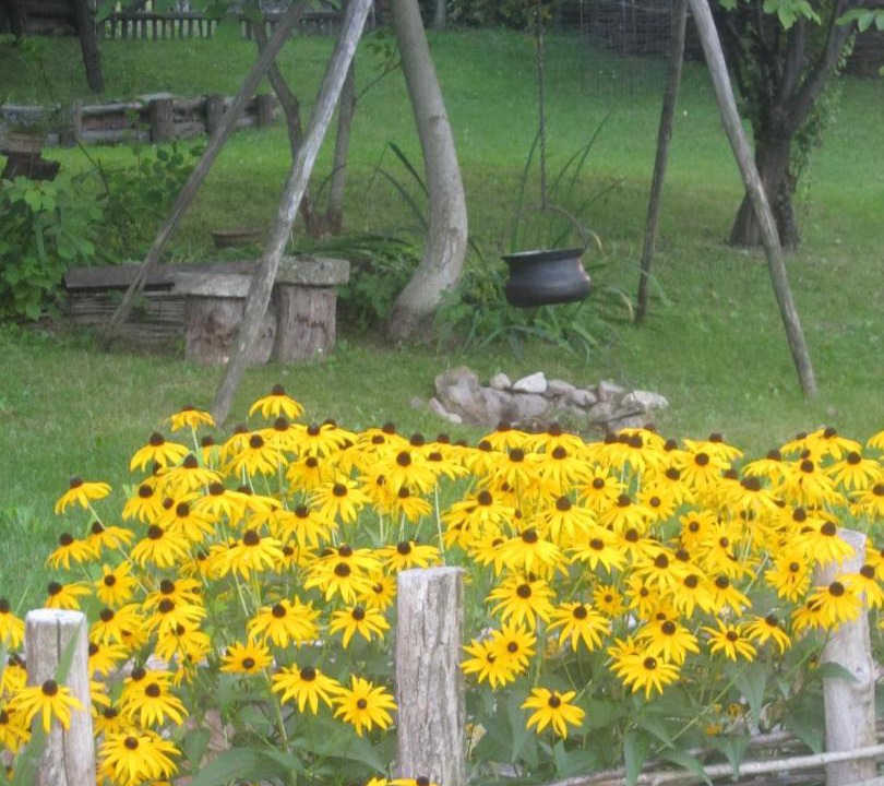 Photo of Others in Gornja Stubica