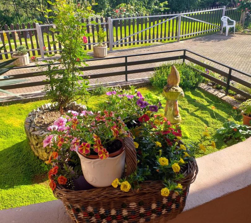Photo of Patio Balcony in Cvetkovic