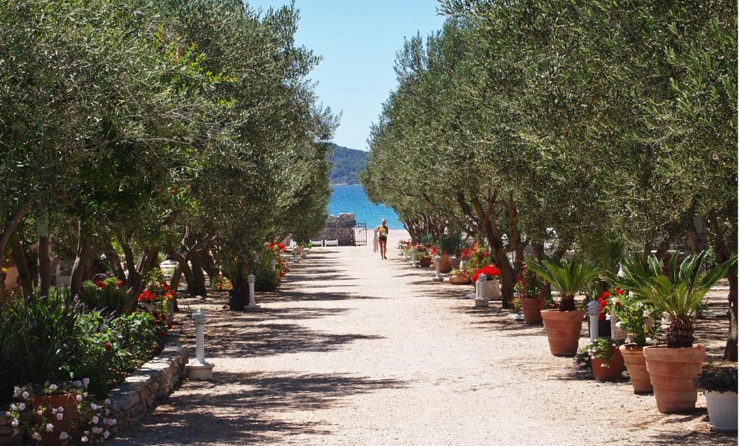 Photo of Others in Sibenik