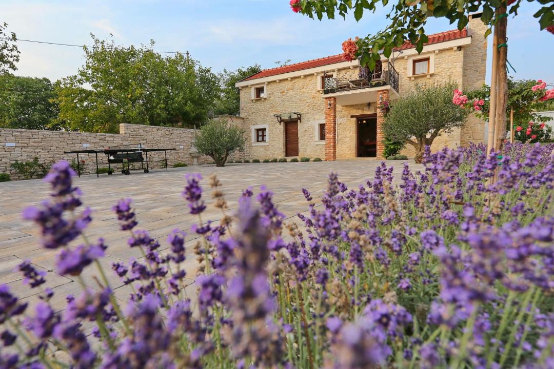 Photo of Buildings in Skabrnja