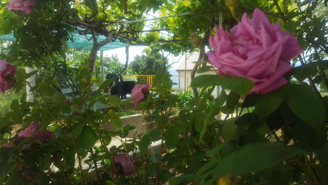 Photo of Others in Stara Baska