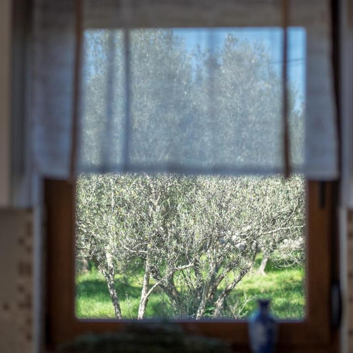 Photo of Others in Milohnici
