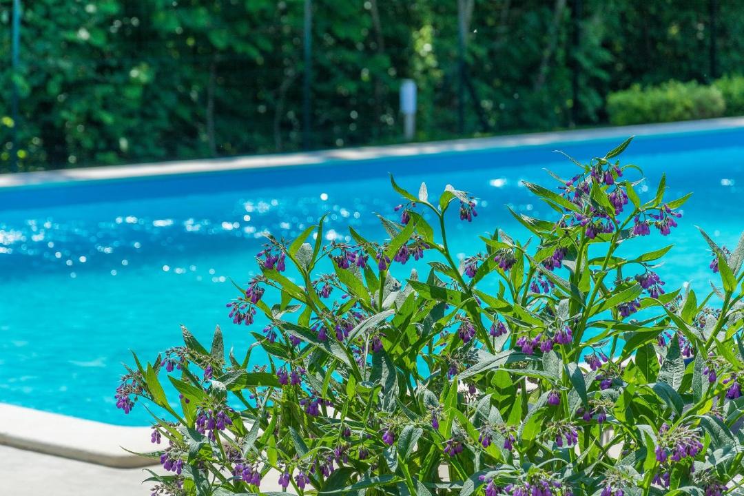 Photo of Outdoor in Modrusani