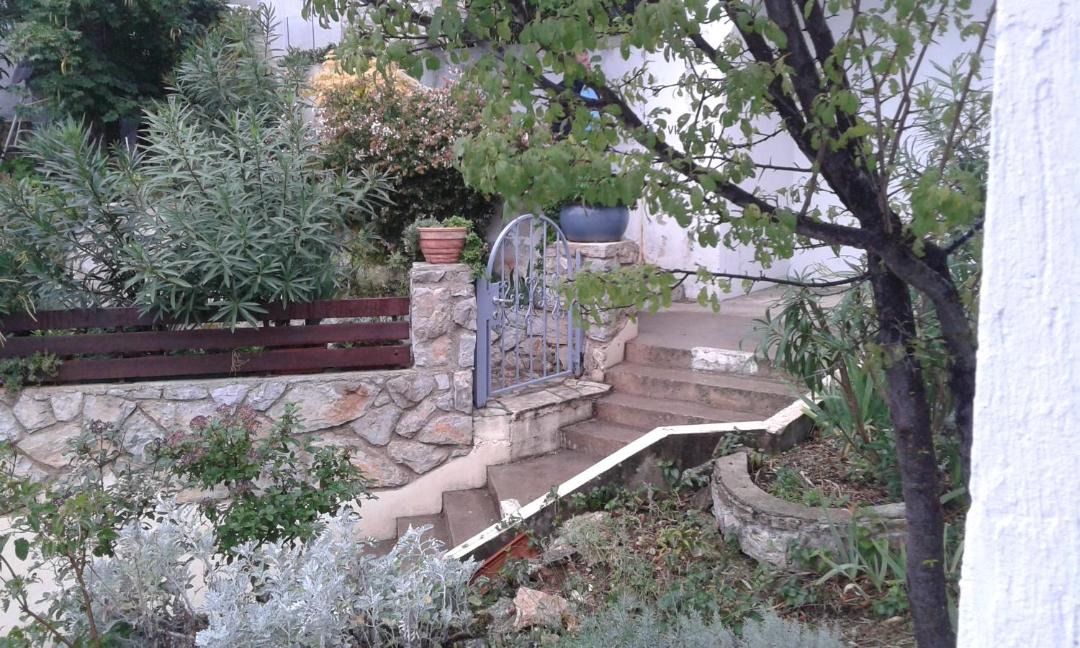 Photo of Others in Miholascica