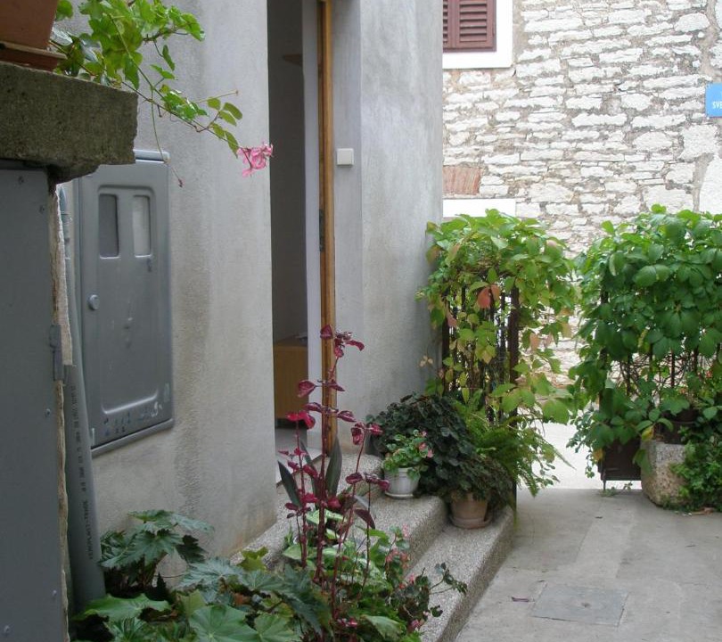 Photo of Others in Island Dugi Otok