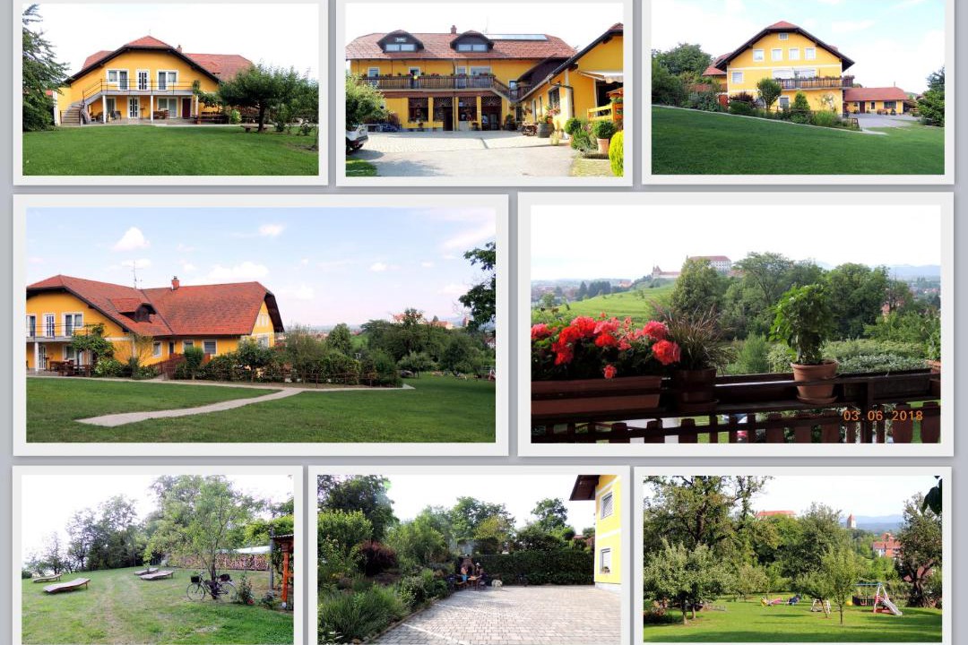 Photo of Others in Ptuj