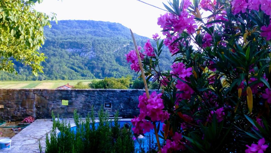 Photo of Others in Buzet