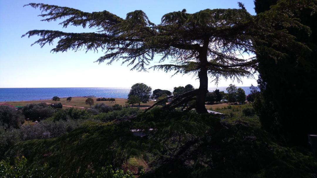 Photo of Outdoor in Katoro