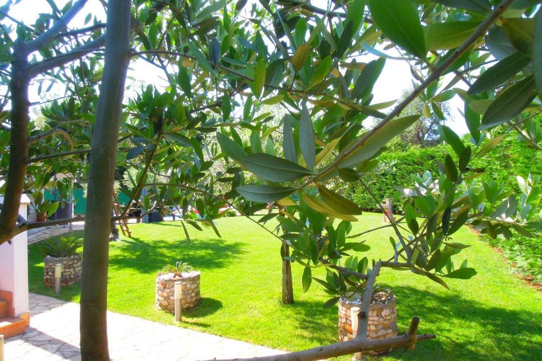 Photo of Others in Finida