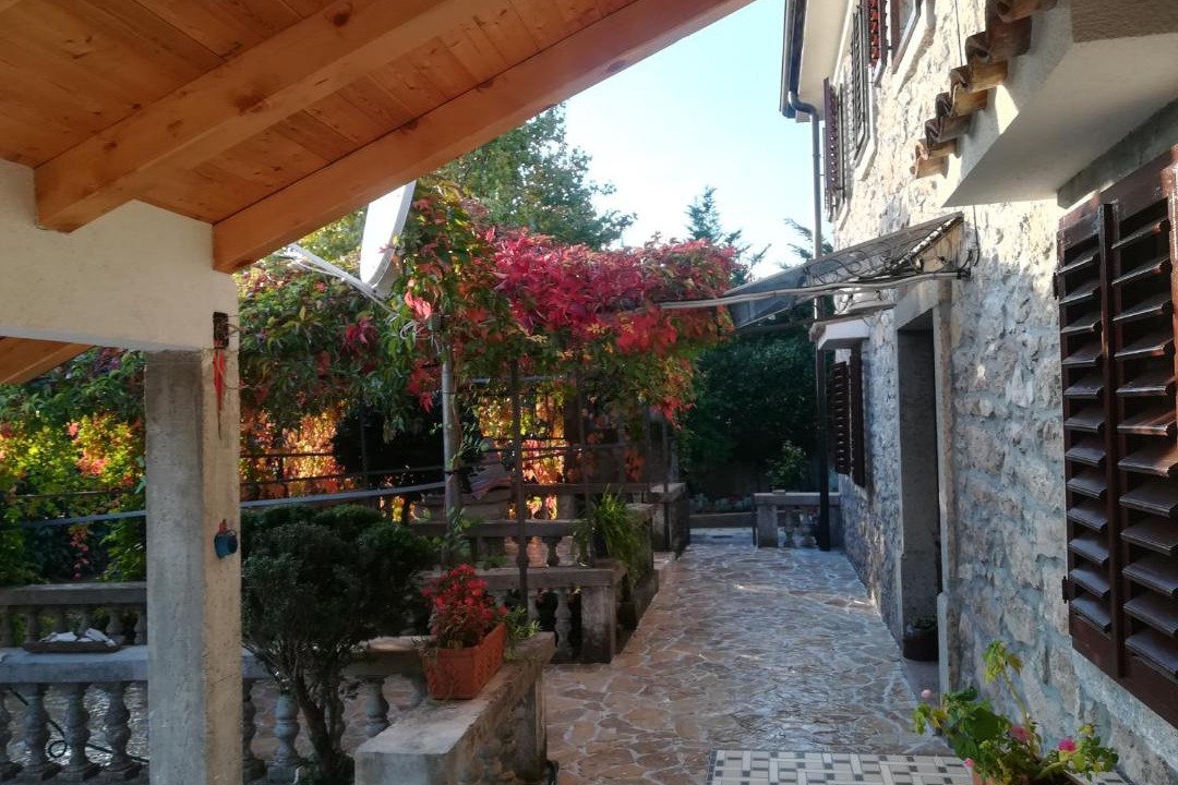 Photo of Others in Zurkovo