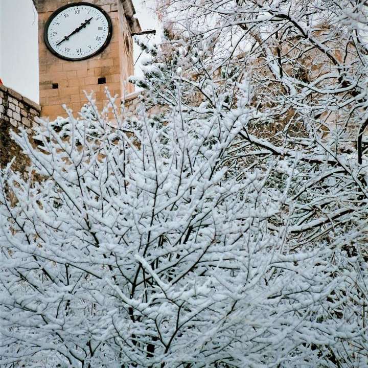 Photo of Others in Sinj