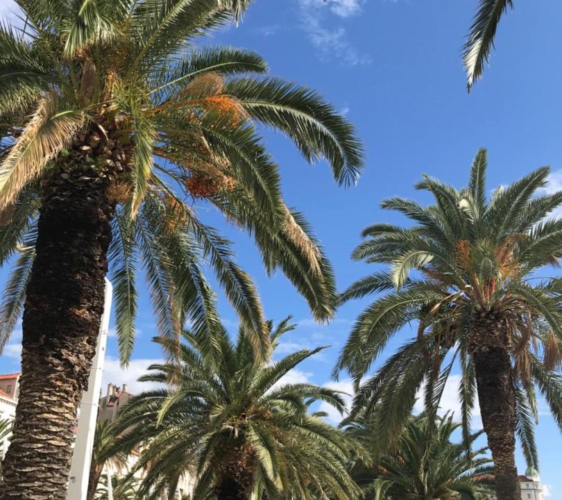 Photo of Others in Split