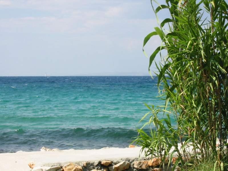 Photo of Outdoor in Susica