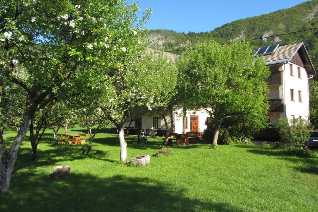 Photo of Others in Bohinj