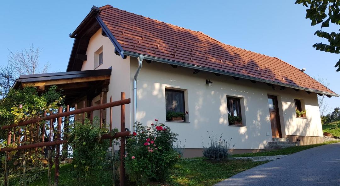 Photo of Buildings in Videm