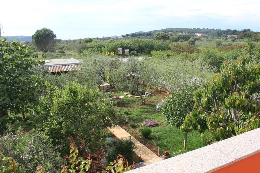 Photo of Outdoor in Muline