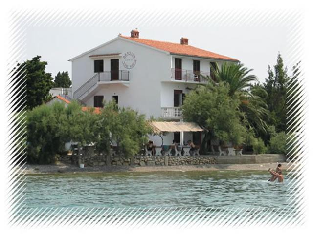 Photo of Others in Seline