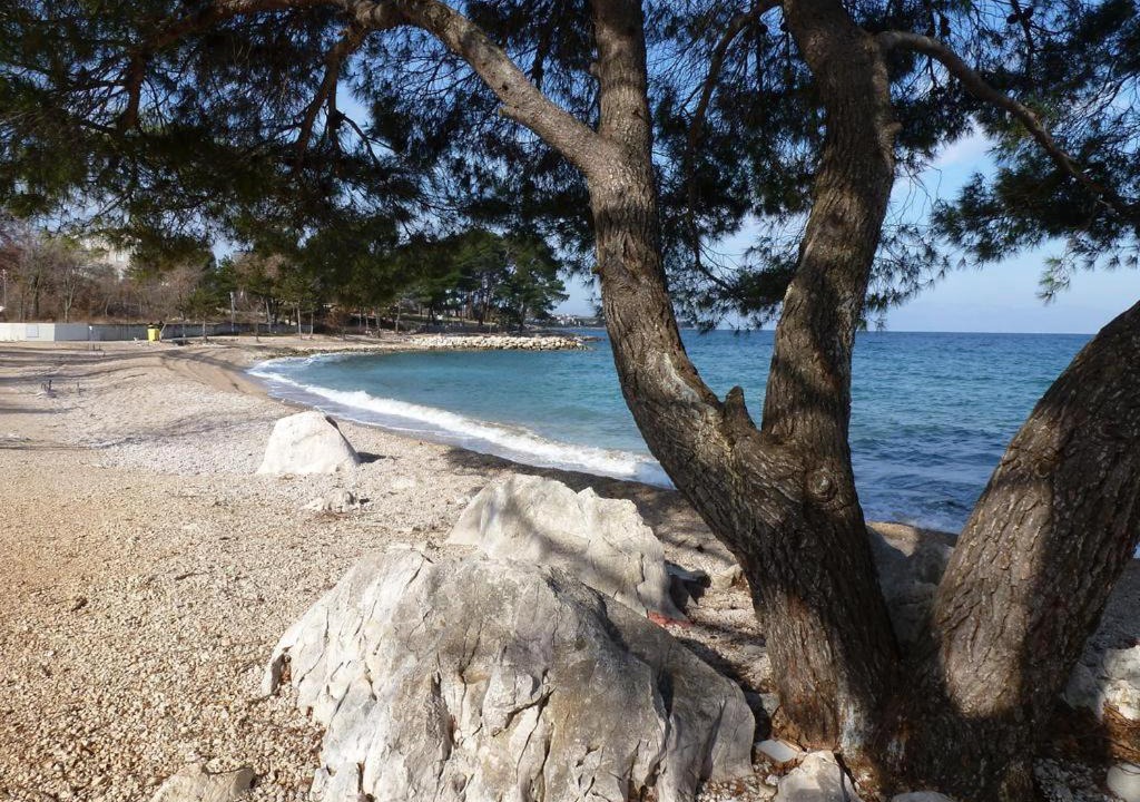 Photo of Others in Zidarici