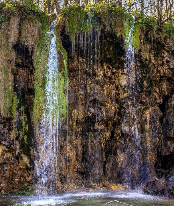Photo of Others in Irinovac