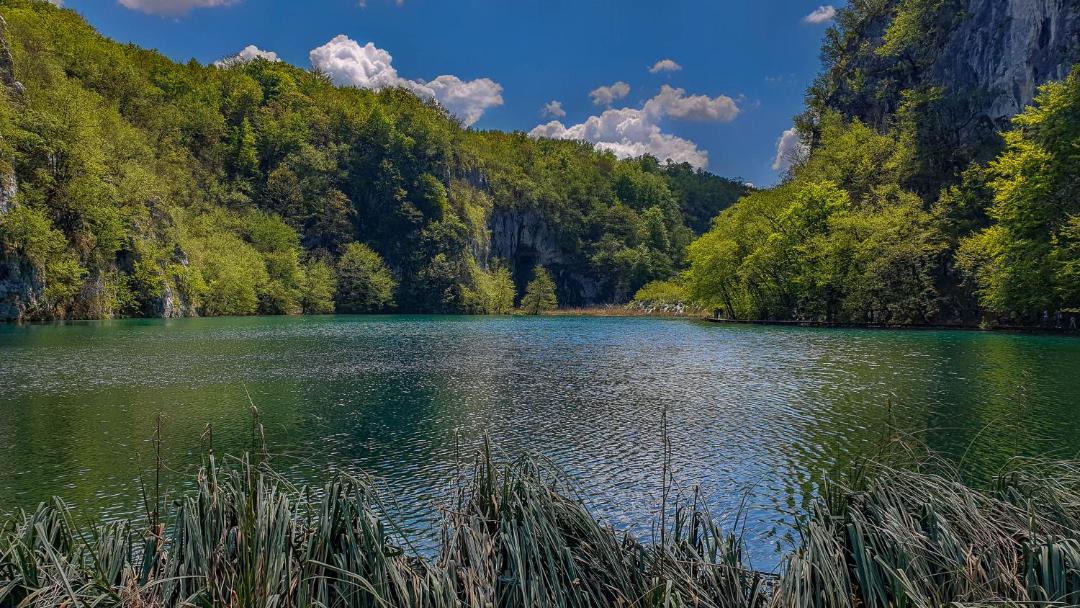 Photo of Others in Irinovac