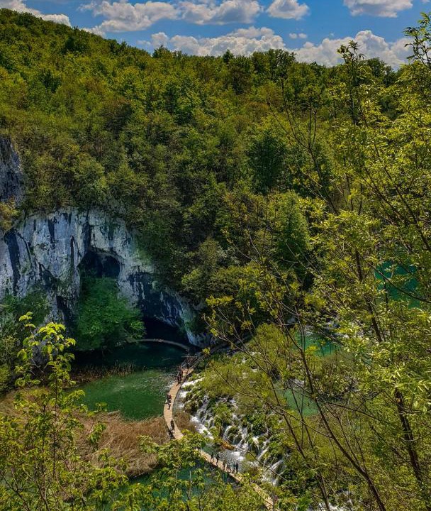 Photo of Others in Irinovac