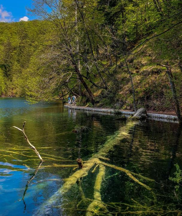Photo of Others in Irinovac