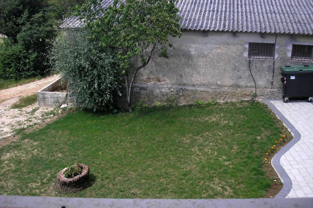 Photo of Others in Borut