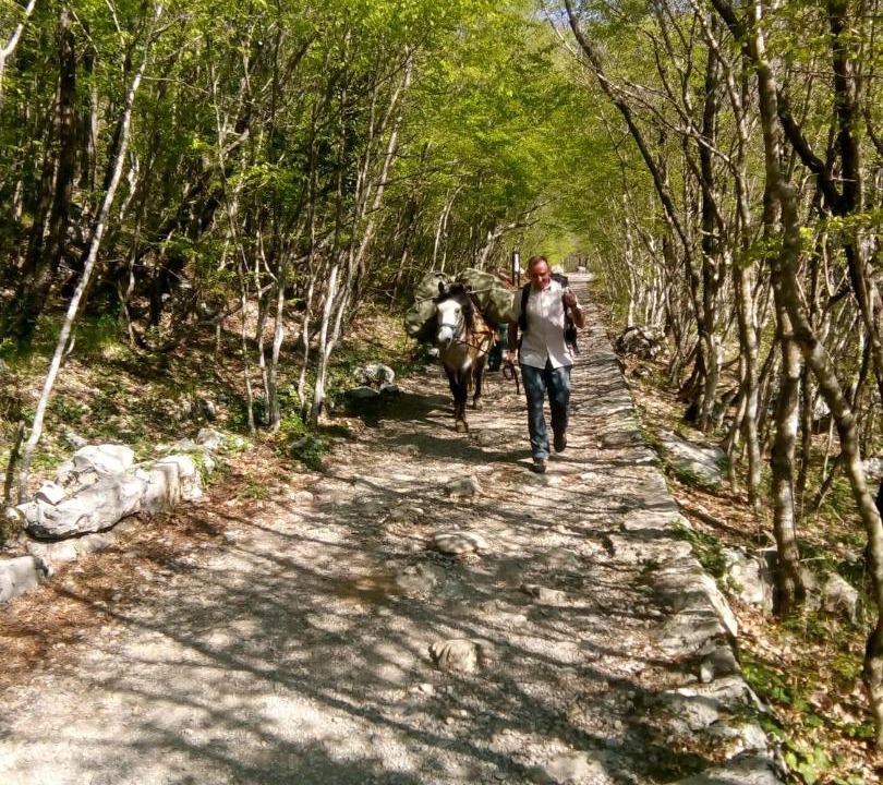 Photo of Others in Starigrad